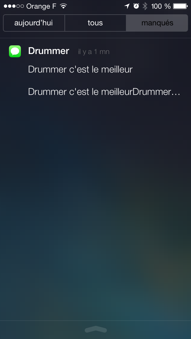 screenshot-ios-7- (14)