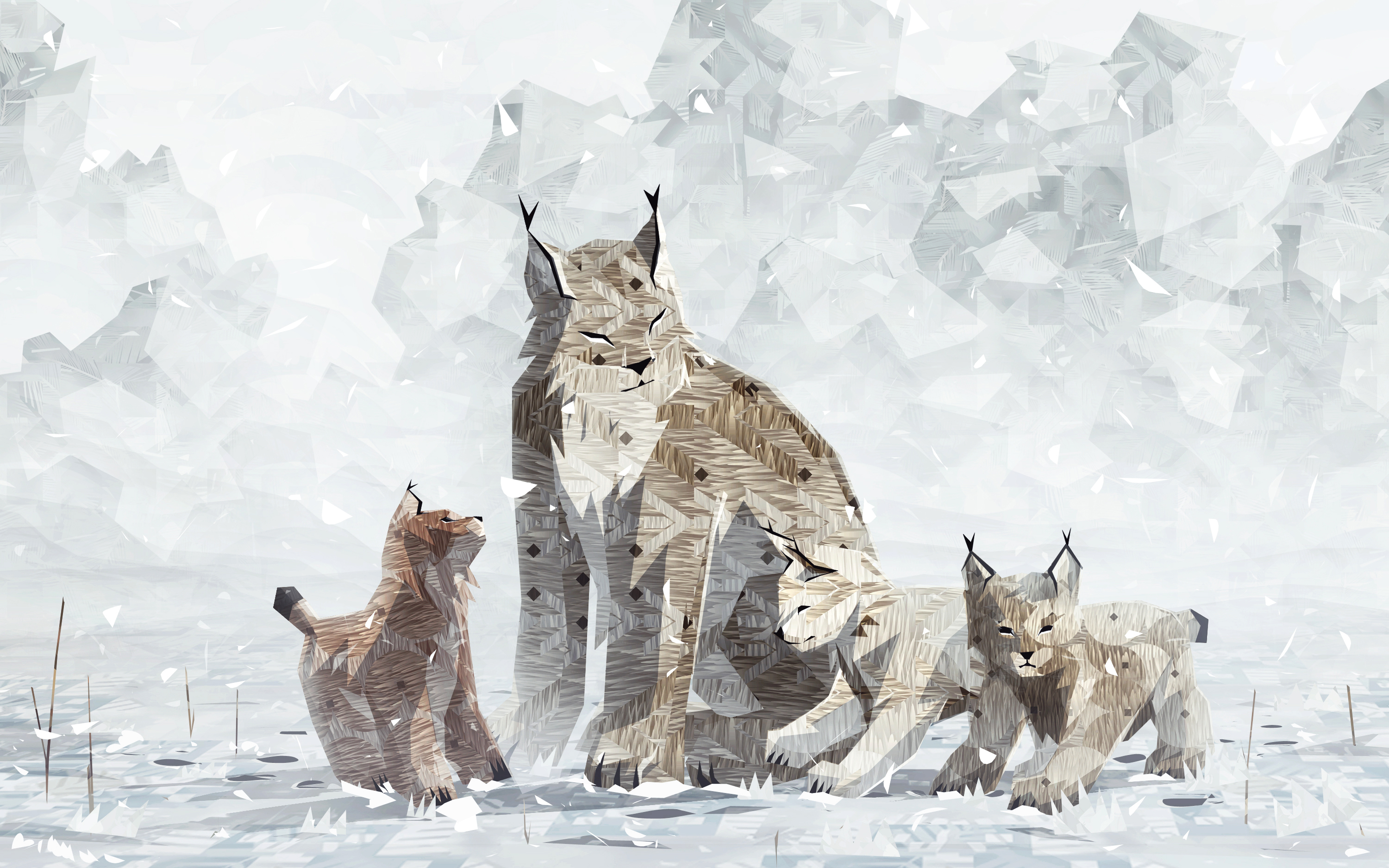 Shelter2_1