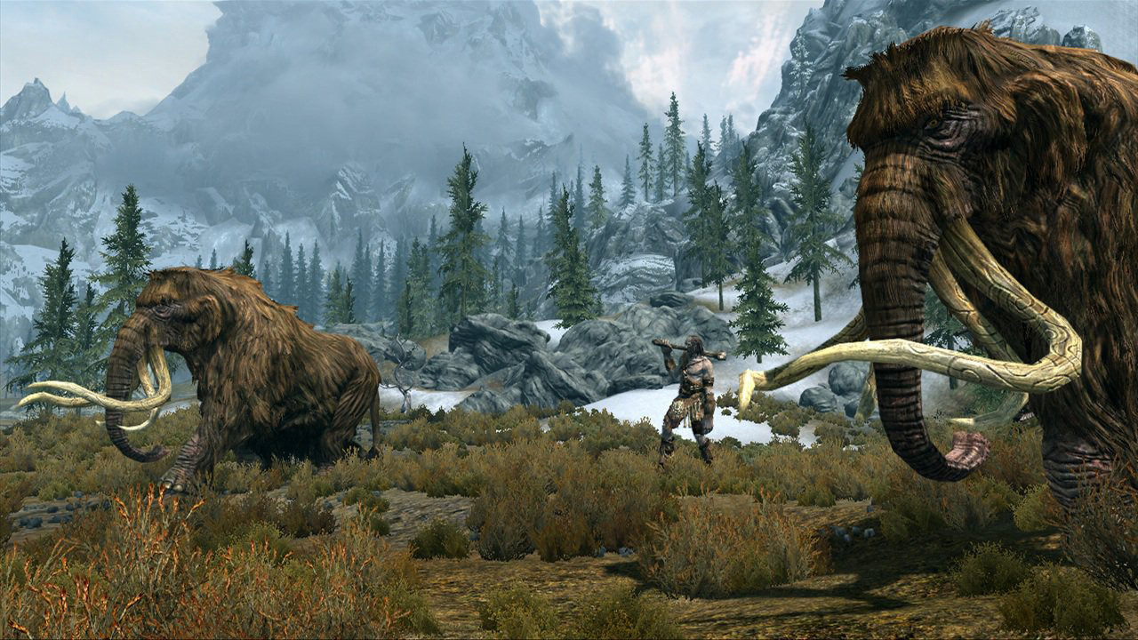 skyrim-screenshot-06062011-03