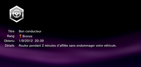 Sleeping Dogs - Troph&eacute;es - BRONZE -  12
