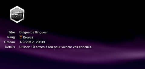 Sleeping Dogs - Troph&eacute;es - BRONZE -  13