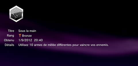 Sleeping Dogs - Troph&eacute;es - BRONZE -  14