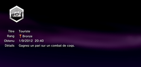 Sleeping Dogs - Troph&eacute;es - BRONZE -  15