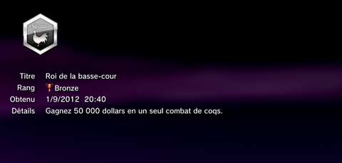 Sleeping Dogs - Troph&eacute;es - BRONZE -  16