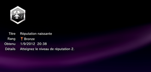 Sleeping Dogs - Troph&eacute;es - BRONZE -  1