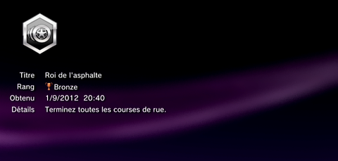 Sleeping Dogs - Troph&eacute;es - BRONZE -  21