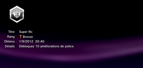 Sleeping Dogs - Troph&eacute;es - BRONZE -  23