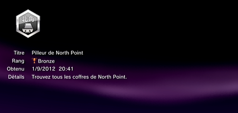 Sleeping Dogs - Troph&eacute;es - BRONZE -  24