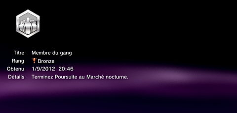 Sleeping Dogs - Trophées - MASQUES -  1