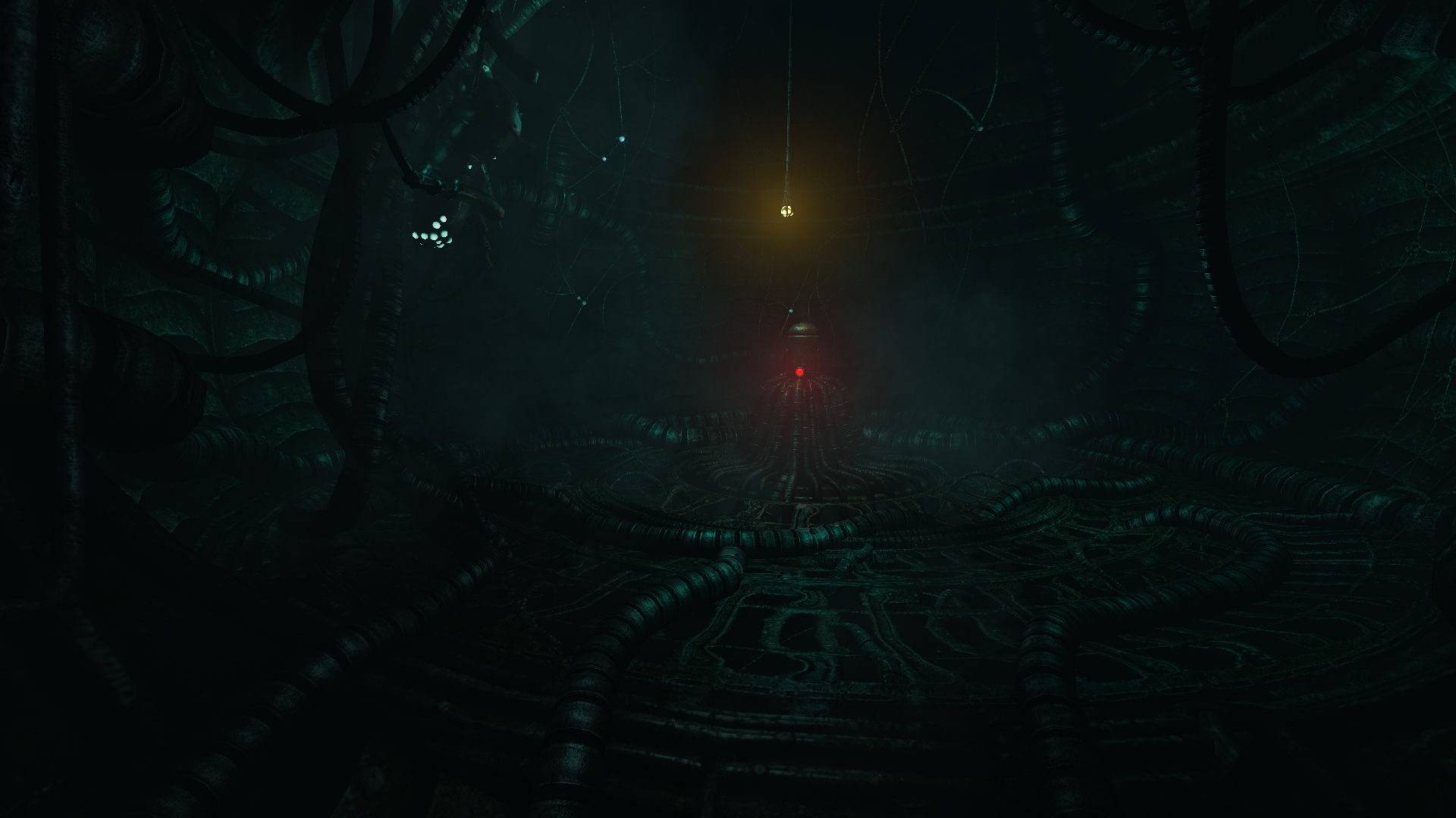 SOMA-chamber