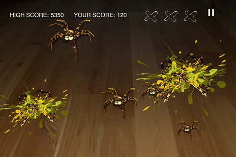 spider 1
