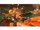 Splatoon 2 images (32)