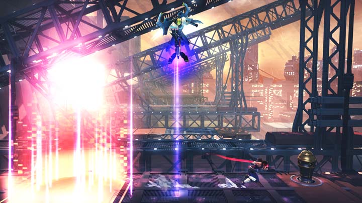 Strider 09.12.2013 (13)