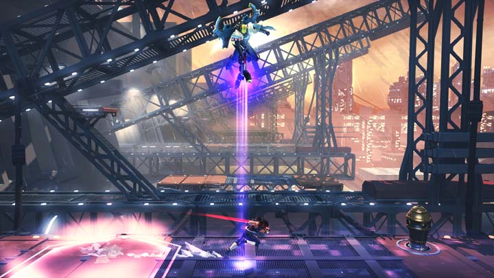Strider 09.12.2013 (21)