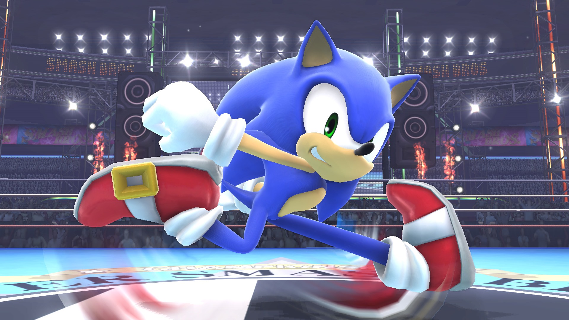 Super Smash Bros. 09.10.2013 (13)