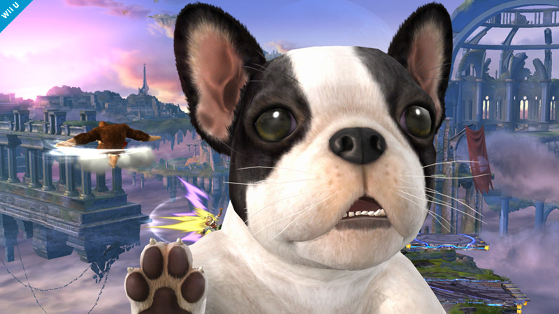 Super Smash Bros 23.12.2013 (5)