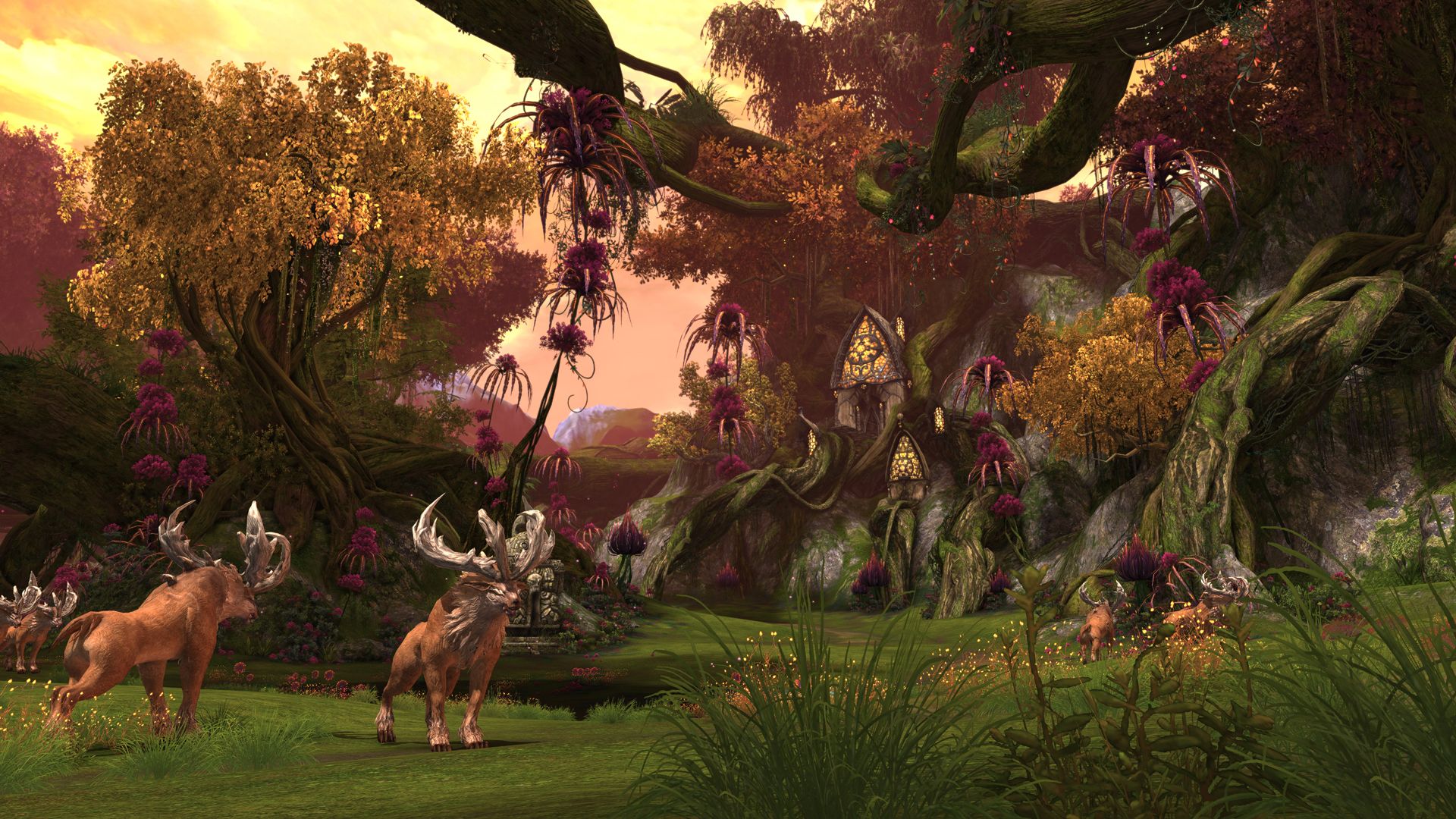 tera console   05
