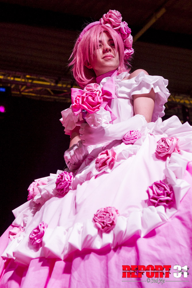 TGS2013-3
