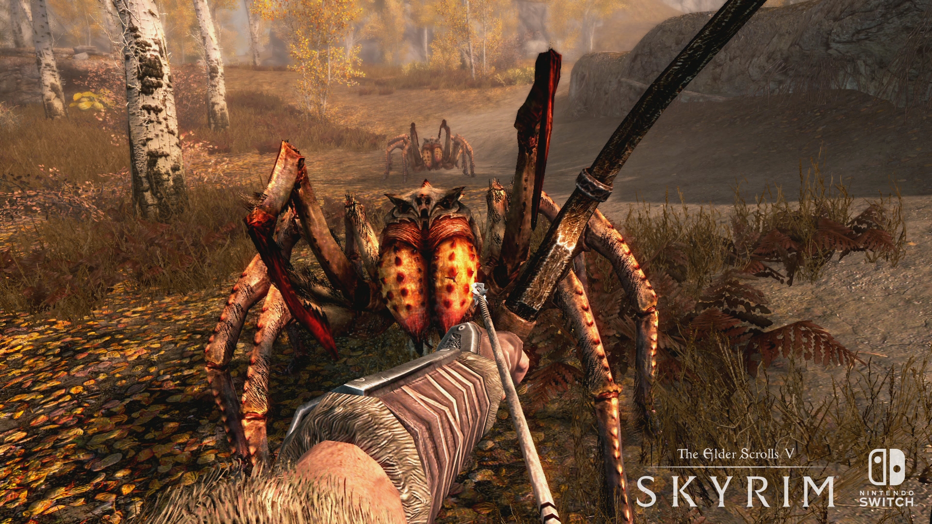 The Elder Scrolls Skyrim Switch 2017 06 12 17 008