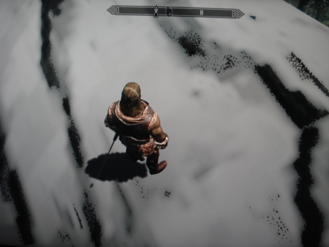 The_Elder_Scrolls_V_Skyrim_bug_screenshot_01.jpg