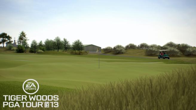Tiger Woods PGA Tour 13 (3)