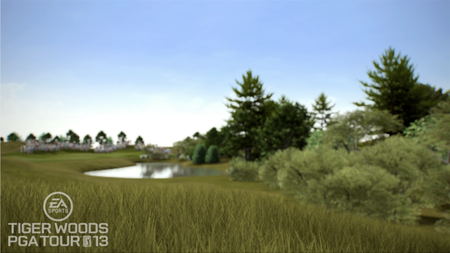 Tiger Woods PGA Tour 13 (4)