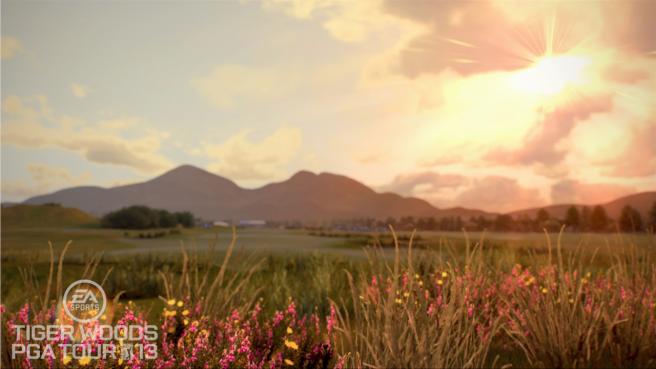 Tiger Woods PGA Tour 13 (5)