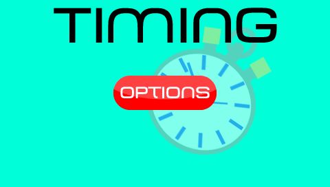 timing-v-1-31_04