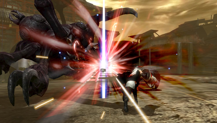 Toukiden  21.03.2013. (4)
