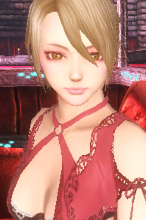 Valhalla Knights 3 01.05.2013 (3)