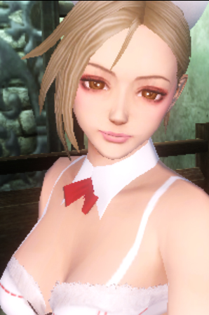 Valhalla Knights 3 01.05.2013 (8)