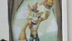 Vignette head crash bandicoot