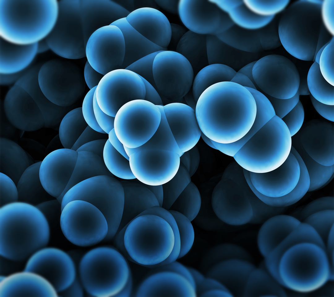 wallpaper_09_00162