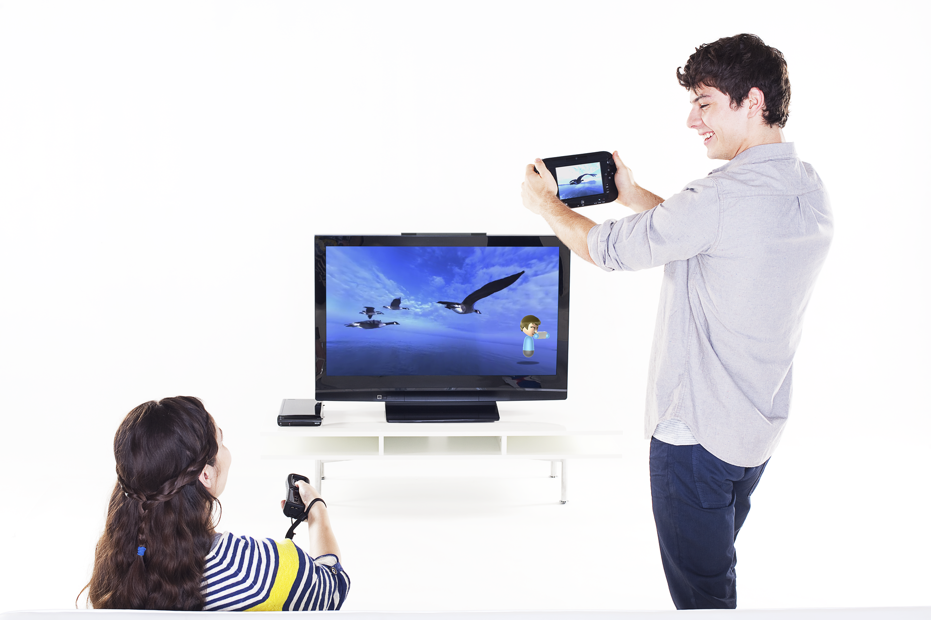 wiiu-panorama-vew- (1)