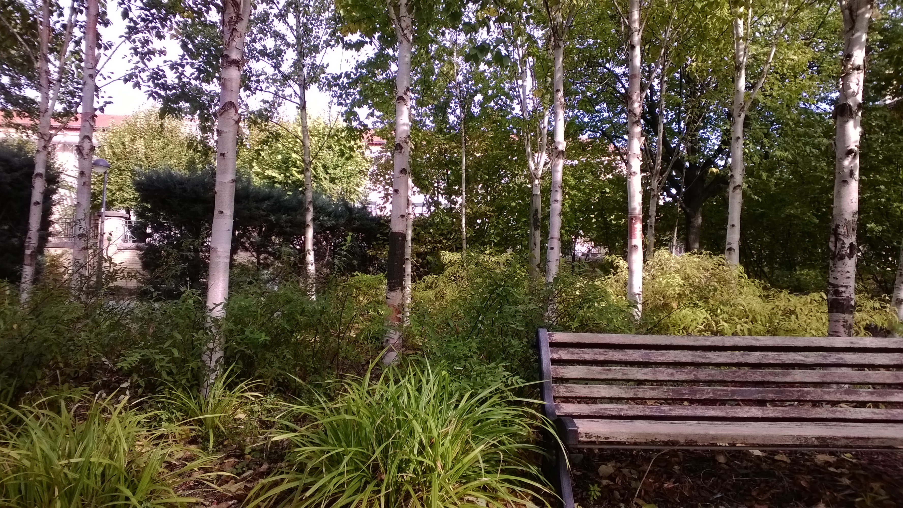 WP_20131031_001