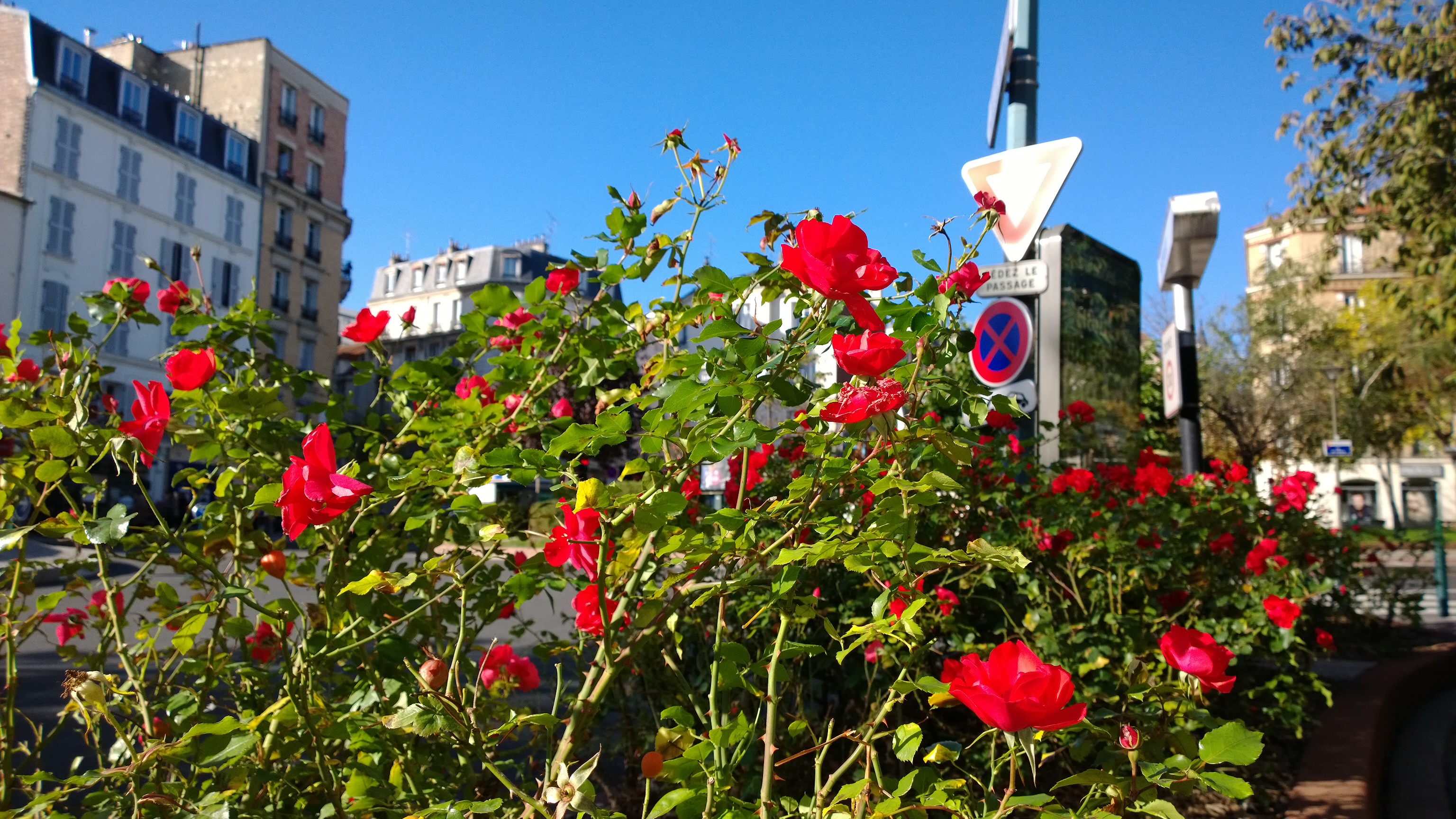 WP_20131103_11_16_44_Pro